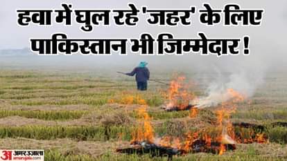 खुलासा: भारत के नहीं, पाकिस्तान के पंजाब में जल रही ज्यादा पराली... आने वाले दिनों में और जहरीली होगी हवा Stubble burning cases increase in Pakistan Punjab air quality in Punjab Haryana deteriorates