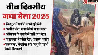 चित्रकूट गधा मेला: यहां 'सनी देओल’ 1.05 लाख में बिका, 'लॉरेंस’ को नहीं मिला खरीददार,'शाहरुख’ 80 हजार में बुक Sunny Deol's photo sold for Rs 1.05 lakh in Chitrakoot, Lawrence Bishnoi's photo went unsold, Shah Rukh Khan's