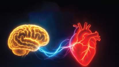 Health: नींद के घंटे नहीं...सोने के समय से तय होता है मस्तिष्क और हृदय का स्वास्थ्य new scientific report suggests that going to bed and waking up at same time is essential for better health