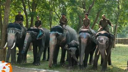 Rajaji Tiger Reserve: 'खूनी हाथी' बना चीला का राजा, अब पर्यटक करेंगे हाथियों पर बैठकर जंगल सफारी Rajaji Tiger Reserve Killer Elephant becomes king of Cheela, now tourists can enjoy jungle safari on elephants