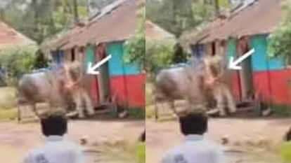 Viral Video: कार्यक्रम के दौरान अचानक पगलाया सांड, पूर्व विधायक को ऐसे उठाकर पटका, फटी रह गई लोगों की आंखें During the event a bull suddenly went mad picked up and threw the former MLA Video goes Viral on Internet