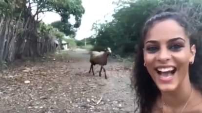 Viral Video: बकरी के साथ रील बना रही थी लड़की, तभी कैमरे के सामने ही उसने मारी सींग और मारी जोरदार टक्कर Girl was making a reel with a goat when it hit her horns and hit her hard in front of the camera Viral Video