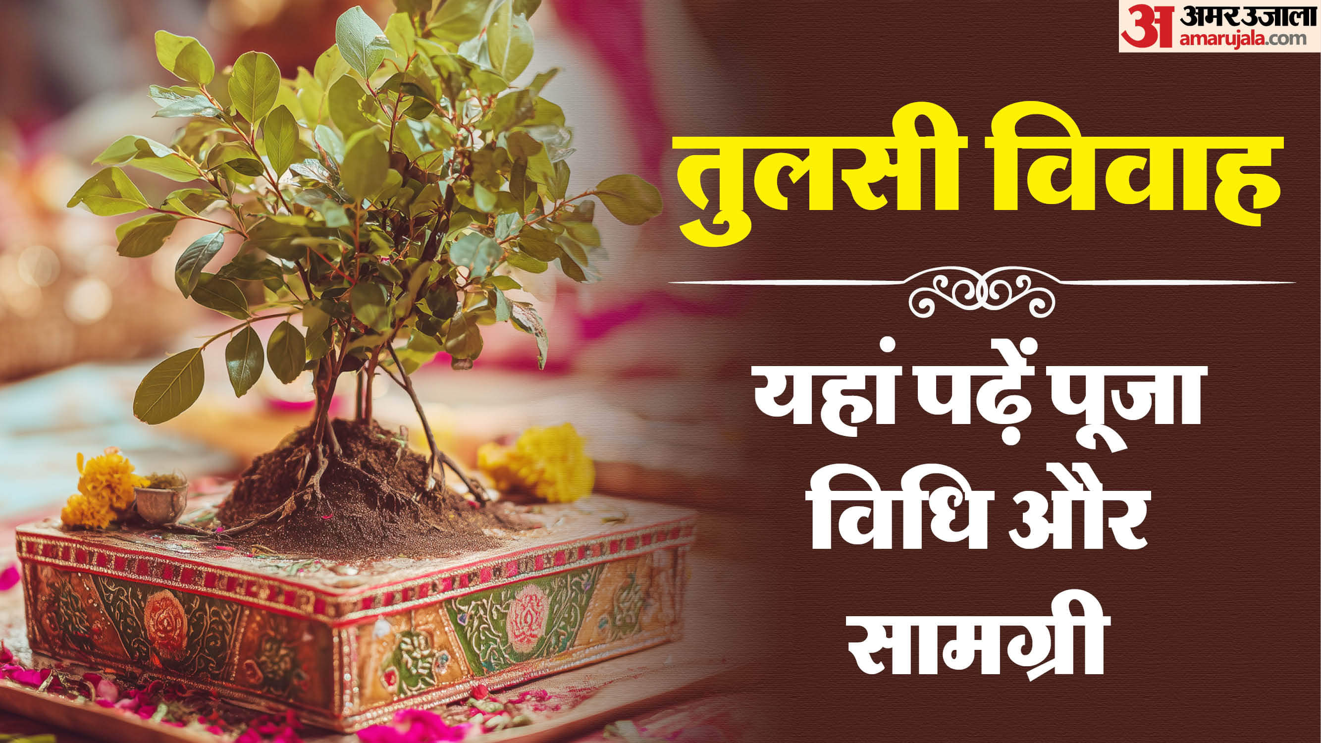 Tulsi Vivah 2025: तुलसी विवाह में शामिल करें ये चीजें, घर में आएगी बरकत और चमकेगी किस्मत Tulsi Vivah 2025 Date Puja Samagri Essential List in Hindi For Maa Lakshmi Blessing