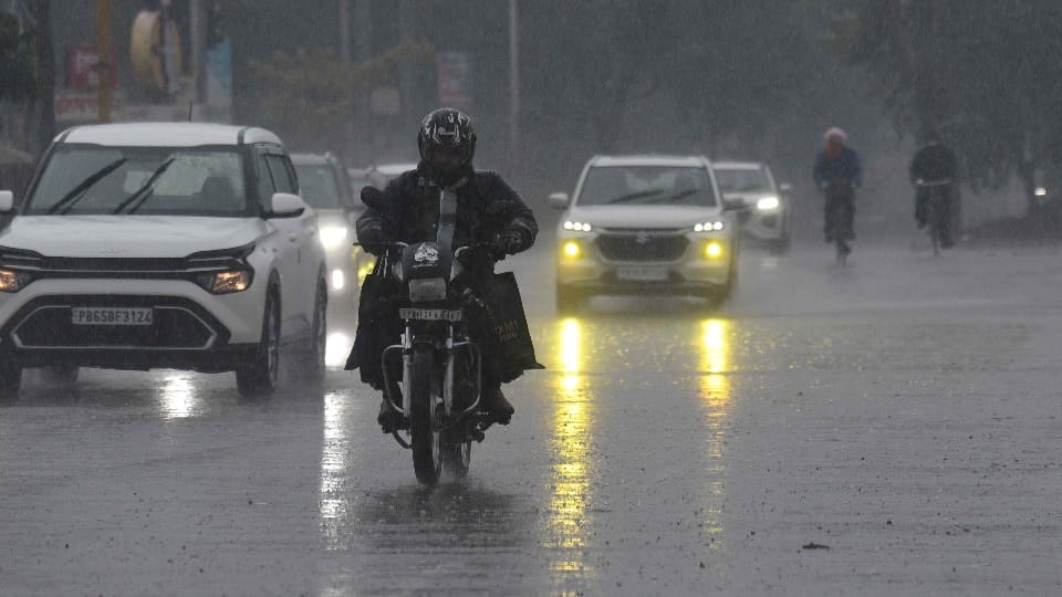 मानसून से पंजाब सराबोर: पारा 35.2 डिग्री तक लुढ़का, चार दिन भारी बारिश का यलो अलर्ट; बिजली की मांग घटी Punjab drenched by monsoon Mercury drops Yellow Alert for heavy rain