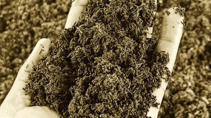 खतरे में 'मिट्टी': ग्लोबल वार्मिंग ने खत्म किए 70% सूक्ष्म जीव, थाली तक पहुंच रहा कुपोषण, ये है CSA की चेतावनी Kanpur Soil in danger Global warming has wiped out 70% of microorganisms leading to malnutrition CSA warns