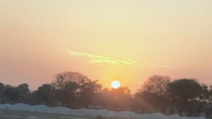 Rajasthan Weather Update: प्रदेश में गर्मी की आहट, फरवरी में ही पारा 36 पार पहुंचा, मार्च में और बढ़ेगा तापमान Rajasthan Weather Update: Early Heatwave Signs as Mercury Crosses 36°C in February, Hotter March Ahead