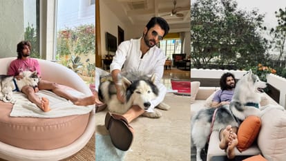 Virosh Wedding: शादी के बाद इस आलीशान बंगले में रहेंगी रश्मिका मंदाना, तस्वीरों में देखिए विजय के घर की झलक Virosh Wedding See A Glimpse Of Vijay House In The Pictures Where Rashmika Mandanna Will Live After Marriage