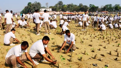 World Record Plantation: पौधरोपण वाली जगह पर मवेशियों का वीडियो वायरल, नगर आयुक्त ने बताया फर्जी World Record Plantation Video of cattle at plantation site goes viral Municipal Commissioner calls it fake