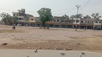 Punjab: मंडियां तैयार पर गेहूं खरीद पर संकट के बादल, भंडारण और आढ़तियों की हड़ताल ने बढ़ाई सरकार की चिंता Punjab Mandis Ready Wheat Procurement Storage Issues Commission Agents Strike