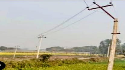 खेतों से हटेंगे बिजली के खंभे: तार अंडरग्राउंड और लगेंगे स्मार्ट ट्रांसफार्मर, सीएम मान शुरू करेंगे प्रोजेक्ट Electricity poles removed from fields in Punjab wires underground smart transformers to be Installed