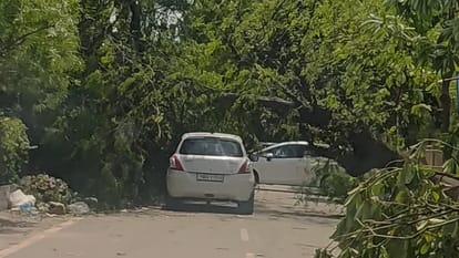 Punjab Weather: देर रात तेज आंधी-बरसात से पारा गिरा, दो दिन का अलर्ट; पावरकाम को 2.06 करोड़ का नुकसान Punjab Weather Mercury drops strong winds rain alert Powercom suffers loss
