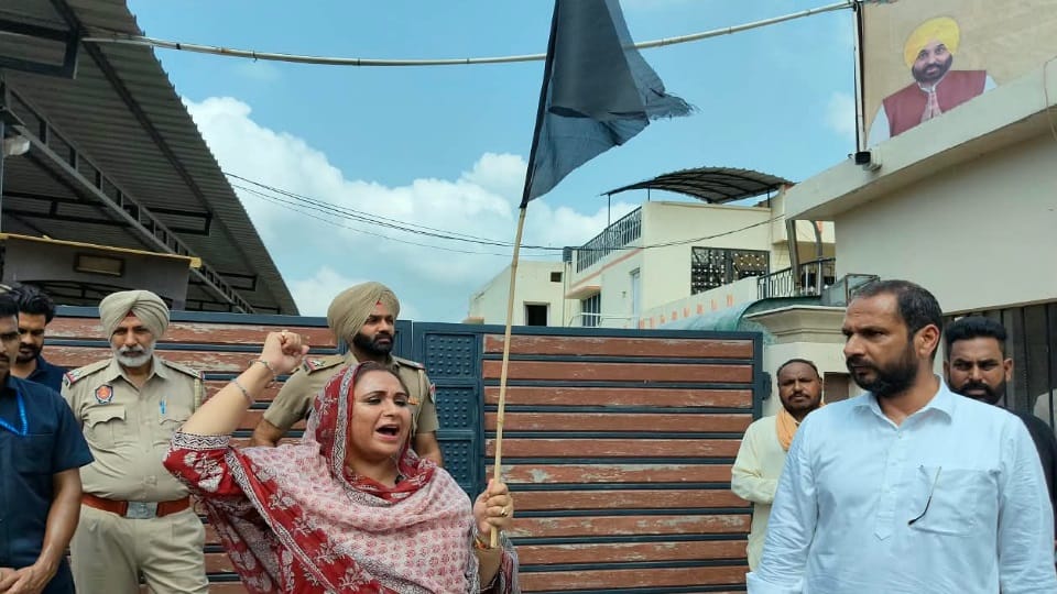 सुनाम में दामन बाजवा का प्रदर्शन: मंत्री अमन अरोड़ा के घर के बाहर काला झंडा लेकर पहुंची, अरोड़ा का पलटवार BJP Leader Daman Bajwa protest in Sunam outside Minister Aman Arora residence with black flag