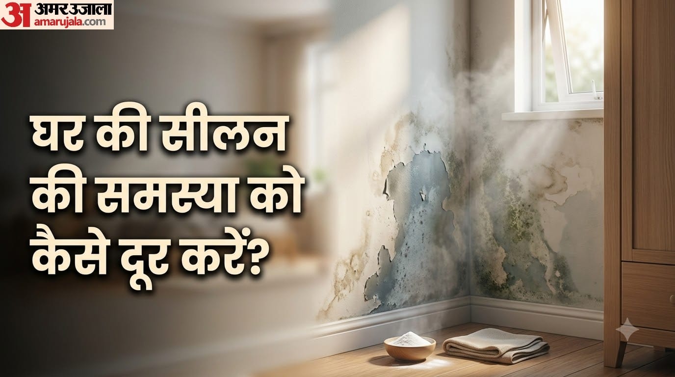 घर की सीलन की समस्या को कैसे दूर करें?