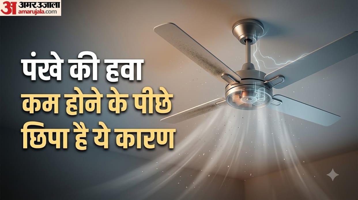 Why Is Your Ceiling Fan Not Giving Enough Air? Check These 4 Reasons