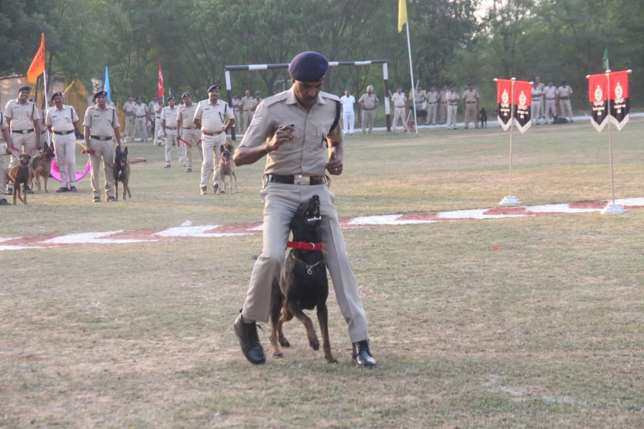 rpf 19th all india railway dog competition 73 trained dogs 17 zones