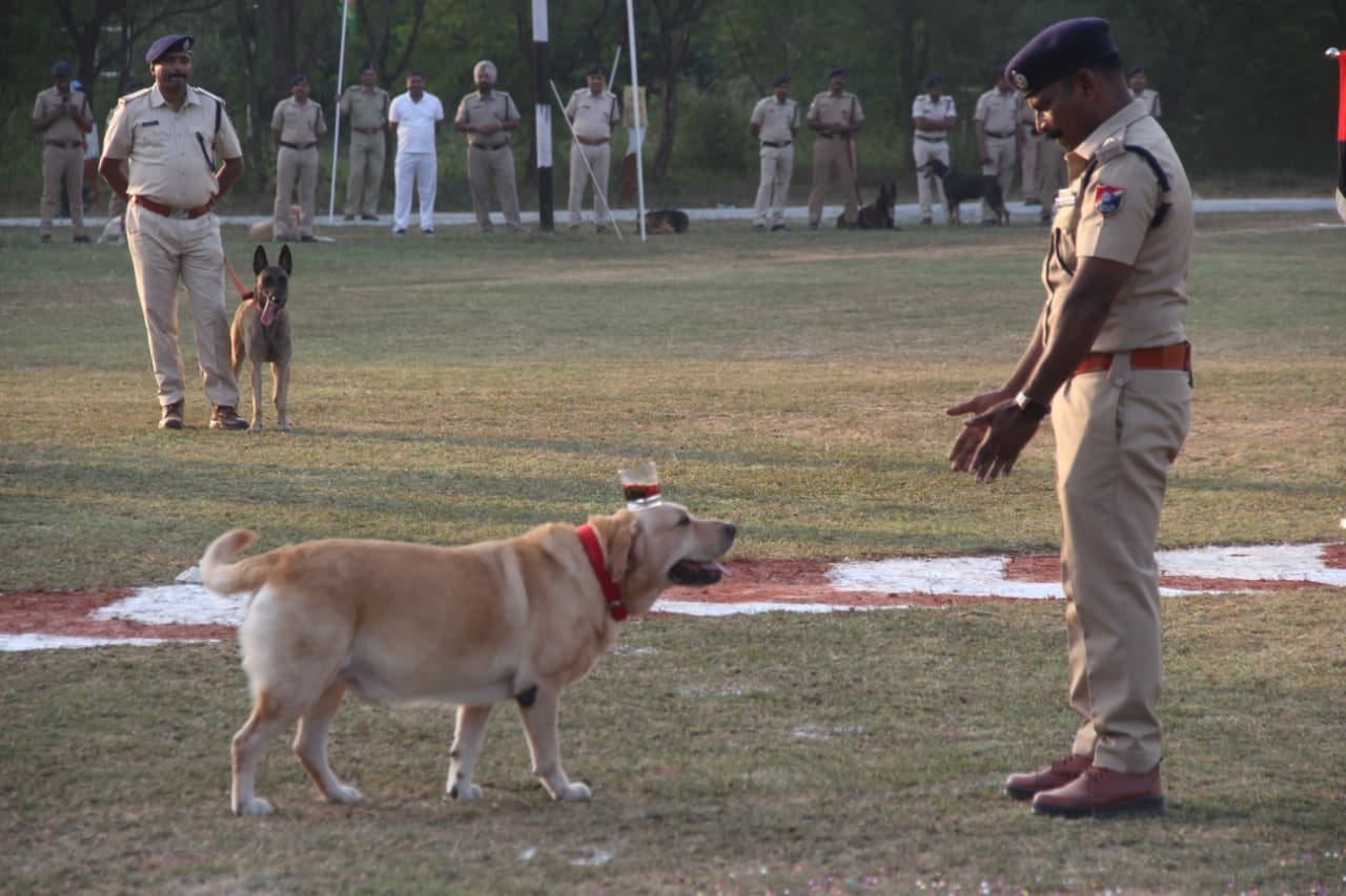 rpf 19th all india railway dog competition 73 trained dogs 17 zones
