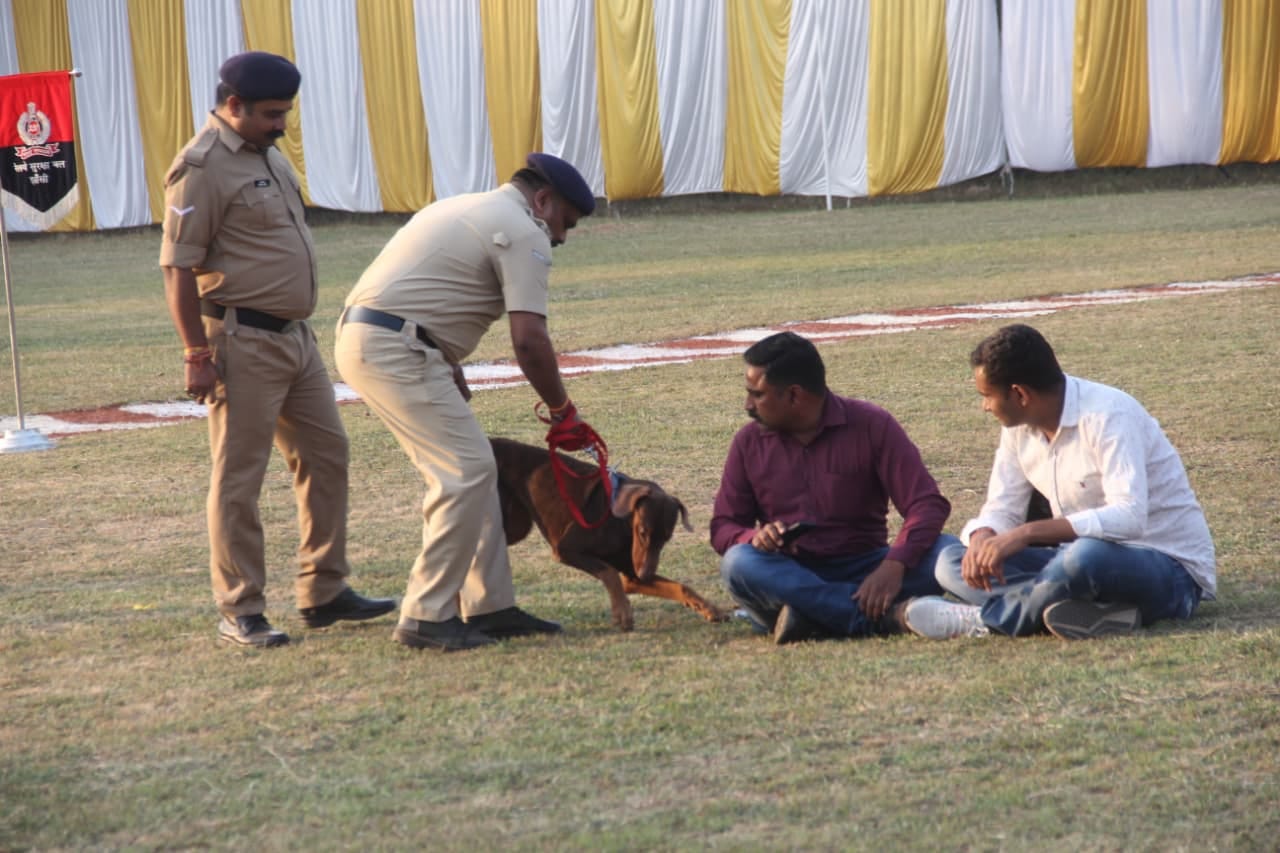 rpf 19th all india railway dog competition 73 trained dogs 17 zones