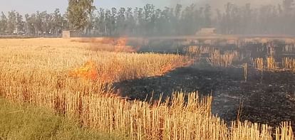 Fire blazes in fields, 200 acres of wheat crop reduced to ashes
