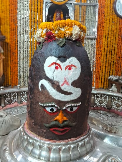 Ujjain News: In Bhasma Aarti, the snake god sitting on the head of Baba Mahakal got amazing adornment.