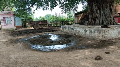 Damoh Number of dengue patients reached 104. Situation worse in rural areas than in cities