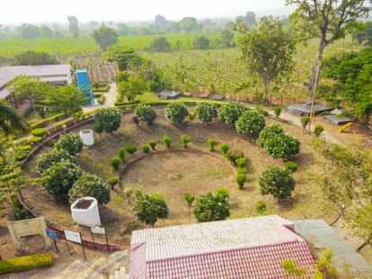 Burhanpur: पर्यटन के लिहाज से उपलब्धियों भरा रहा साल 2024, पहली बार मना था बनाना फेस्टिवल Burhanpur year 2024 was full of achievements in terms of tourism Banana Festival celebrated for first time