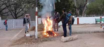 Damoh News: कड़ाके की ठंड के साथ गुजर रहा साल का अंतिम दिन, इंसान के साथ मवेशी भी अलाव सेंकने हुए मजबूर Damoh last day year is passing with severe cold humans as well as cattle are forced to warm themselves bonfire
