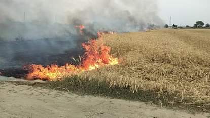 Jammu News: कूड़े के ढेर से सुलगती चिंगारी ने 30 एकड़ गेहूं को किया राख fire news