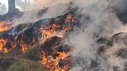 Rajouri News: पोठा के जंगलों में लगी भीषण आग, नियंत्रण के प्रयास जारी forest fire