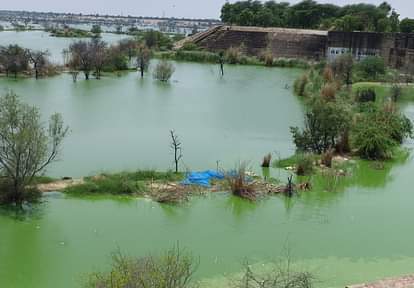 Rewari News: साहबी बैराज में दूषित पानी छोड़ने के मामले की कल होगी एनजीटी में सुनवाई NGT will hear the case of releasing polluted water in Sahibi Barrage tomorrow