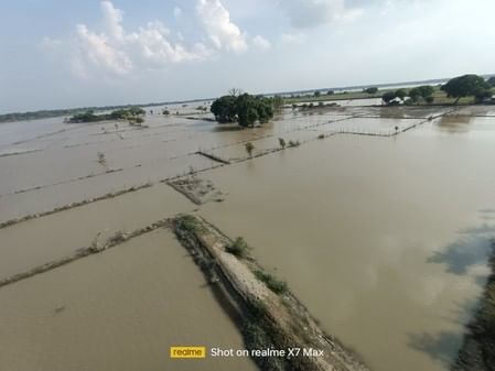 Yamuna water level reduced, boat ride still available in Gauhani Kalan
