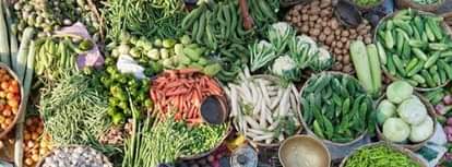 Rohtak News: बारिश थमने के बाद घटने लग सब्जियों के दाम After the rain stopped, the prices of vegetables started decreasing