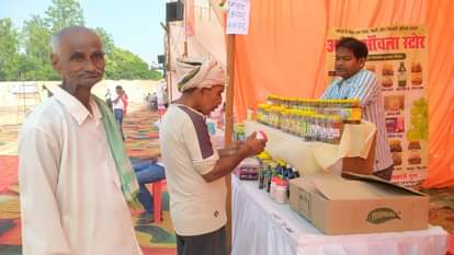 Balrampur News: लोगों को भा रही आंवले की चटनी व बर्फी People are liking gooseberry chutney and barfi