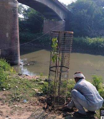 Sitapur News: जागे जिम्मेदार, लगाया गया ट्री गार्ड Responsible people woke up, tree guards were installed