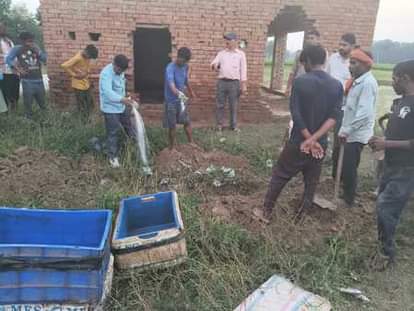 Kaushambi News: मत्स्य विभाग ने छापामारा, विदेशी थाई मांगुर छोड़ भागे विक्रेता Fisheries department raided, sellers fled leaving behind foreign Thai Mangur