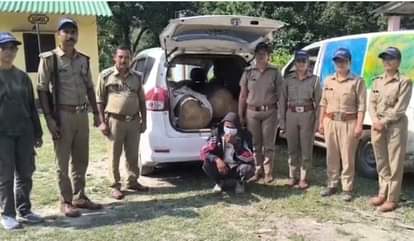 Uttarakhand: कार पर रेलवे का बोर्ड लगा दौड़ा रहा था तस्करी की गाड़ी, आरोपी गिरफ्तार; सागौन के गिल्टे किए बरामद Caught smuggling wood with a railway sign on the car