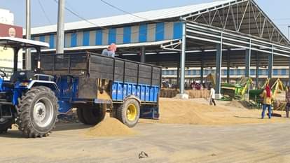 Ambala News: गेंहू की बिजाई 25 के बाद पकड़ेगी जोर Wheat sowing will gain momentum after 25th
