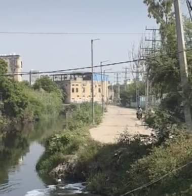 उत्तरी बाईपास के फेज-2 के निर्माण की तैयारी: आड़े आ रहे 3 हजार पेड़ कटेंगे, बहादुरगढ़ वन विभाग ने मांगे सवा करोड़ Preparations for construction of Phase-2 of Northern Bypass Bahadurgarh Forest Department demanded one Core