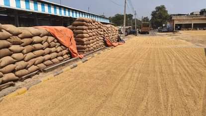 UP News: धान बिक्री के लिए 1.37 लाख किसानों ने कराया पंजीकरण, 4000 क्रय केंद्र खोले जाएंगे UP News: 1.37 lakh farmers have registered for paddy sale, 4000 procurement centres will be opened.