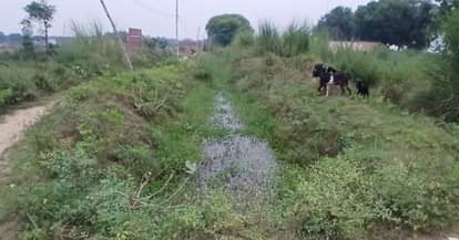 Bhadohi News: 5.50 करोड़ से सुधरेगी डीघ रजबाहा की सेहत Deegh Rajbaha's health will improve with Rs 5.50 crore