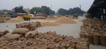 घोटाले के आरोप बेबुनियाद, मानक के हिसाब से हो रही धान खरीद : एजेंसी Scam allegations baseless, paddy procurement being done as per standards: Agency