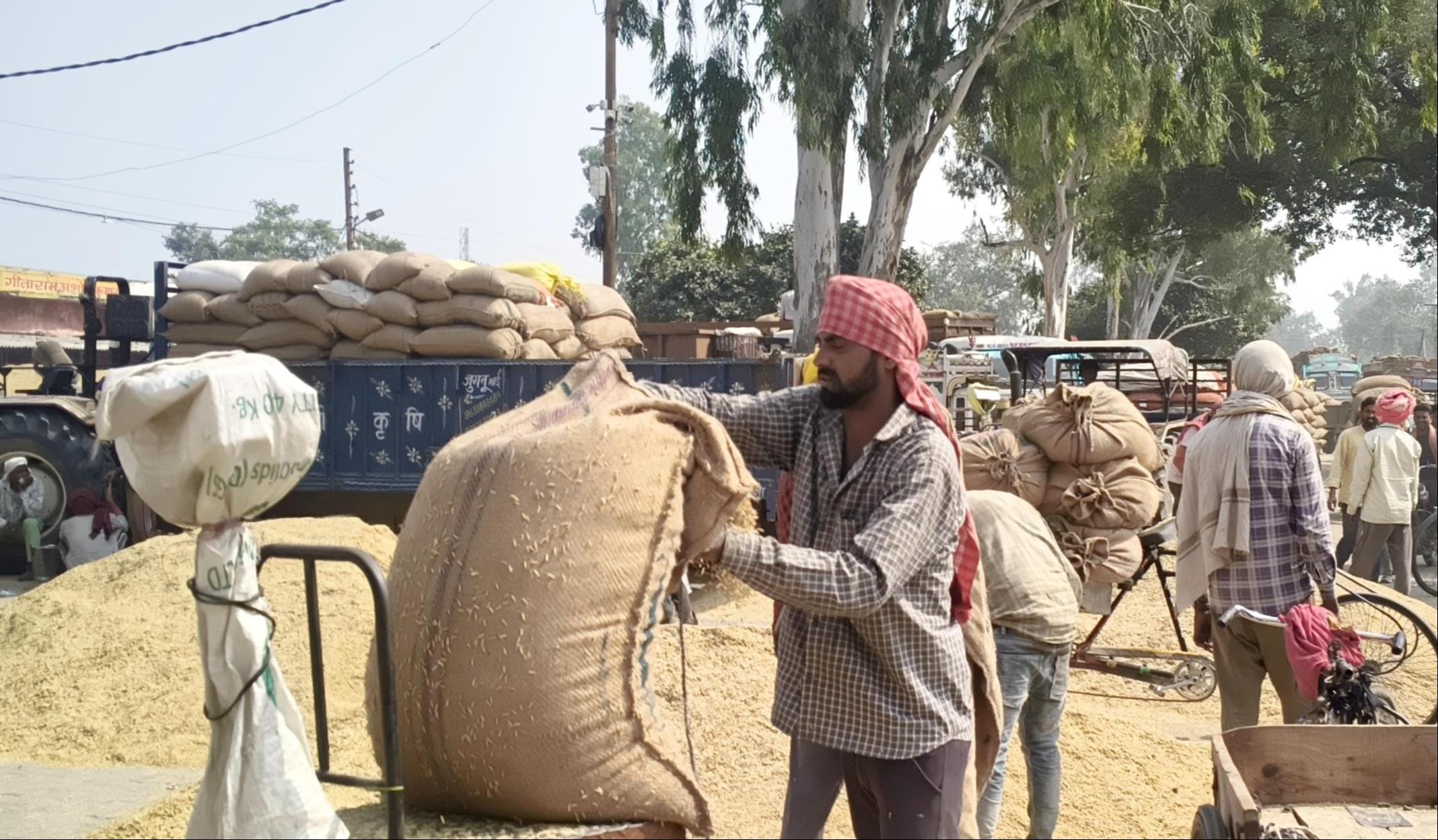 मंडी में होती धान की तौल।  संवाद