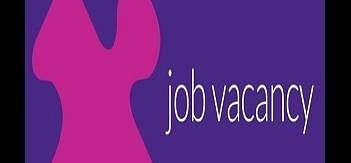 SSC Recruitment: Jobs for Junior Engineers Group B, Expected Salary is Rs 112,400