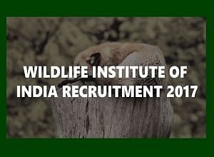 Wildlife Institute of India Recruitment 2017: Vacancy for Project Biologist