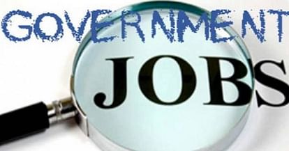 This is Why You Should Opt for Government Job