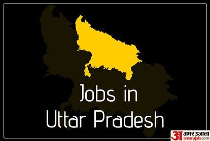 Govt Jobs in UP for More than 12 Thousand Posts, Graduates and B.Ed pass Can Apply