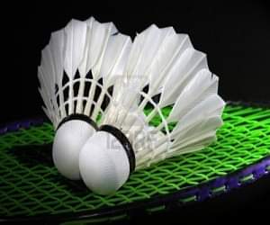 श्रेया और शुभांगी के बीच होगी भिड़ंत badminton championship
