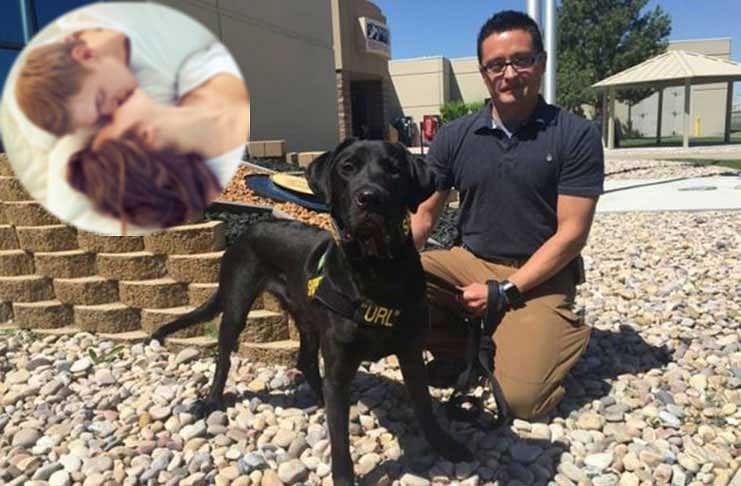 Amazing porn seeking dog helps police sniff out porn