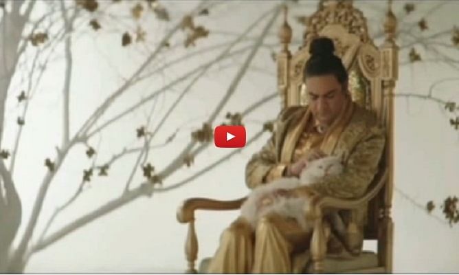 Taher Shah is back with his cat and a new love preaching 