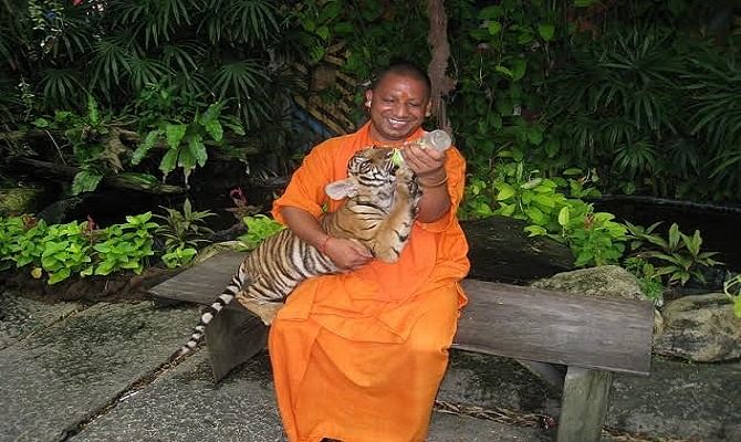 Truth behind viral picture of Yogi Adityanath with Tiger cub
