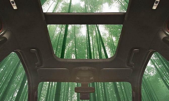 Ford will soon make cars with Bamboo and other plants and trees